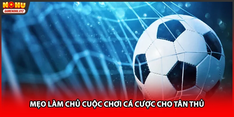 Mẹo làm chủ cuộc chơi cá cược cho tân thủ